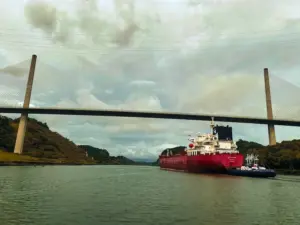 rotes Frachtschiff fährt unter einer modernen Schrägseilbrücke über einen breiten Fluss