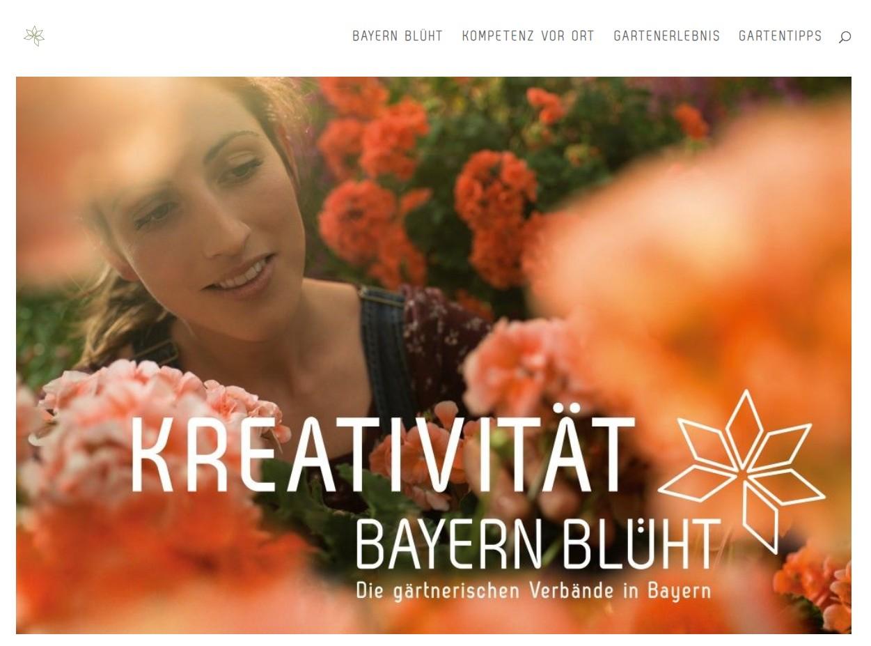 Screenshot der Website Bayern-blueht.de
