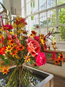 Blumenstrauß am Fenster, Botanischer Garten