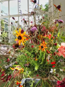 Blumenstrauß am Fenster, Botanischer Garten