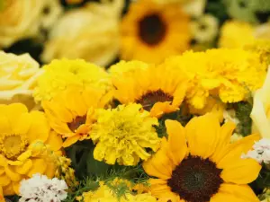 Nahaufnahme Floristik, Blumenkranz