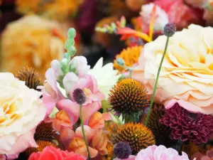 Nahaufnahme Floristik, Blumenkranz