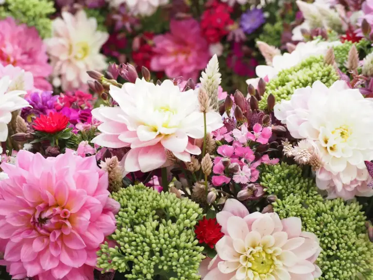 Nahaufnahme Floristik, Blumenkranz