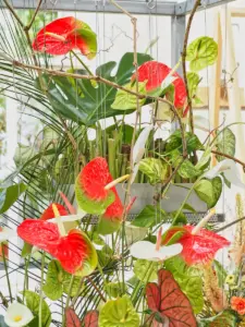 Detailaufnahme der Abschlussarbeit der Floristen: Blumenarrangement
