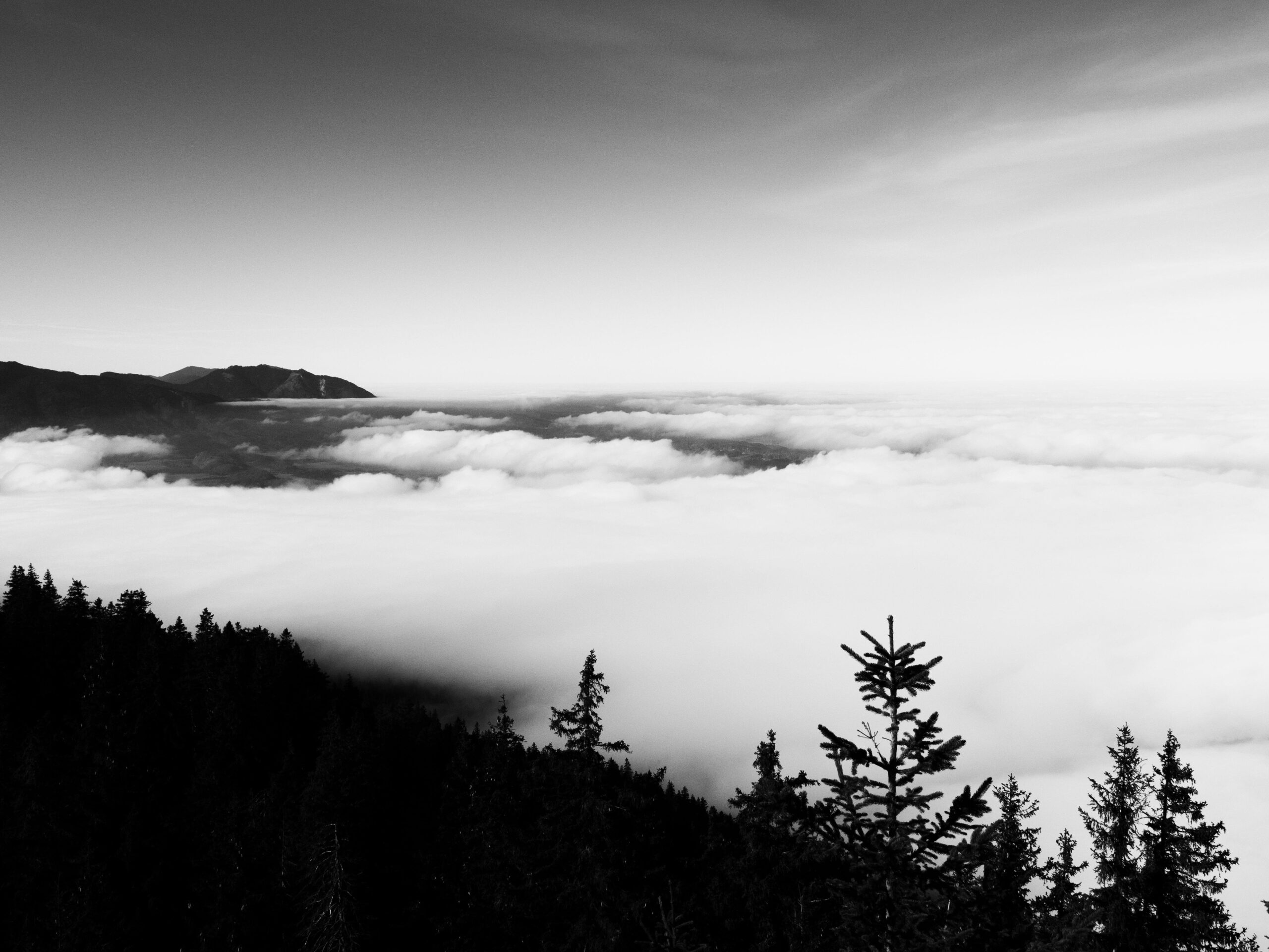 Nebelwolken in den Bergen#BlackAndWhitePhotography #FoggyMorning #ScenicVista #SkyAndClouds #MinimalLandscape #PineTrees #WildernessCulture...